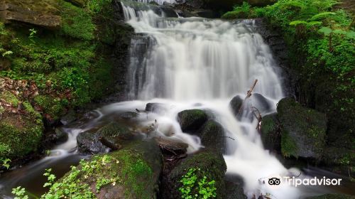 Rivelin Valley Nature Trail