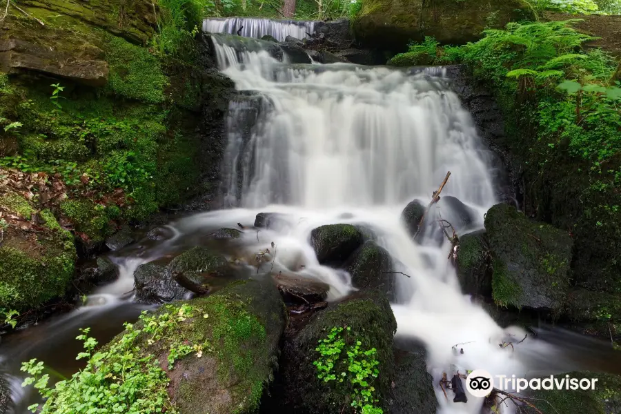 Rivelin Valley Nature Trail