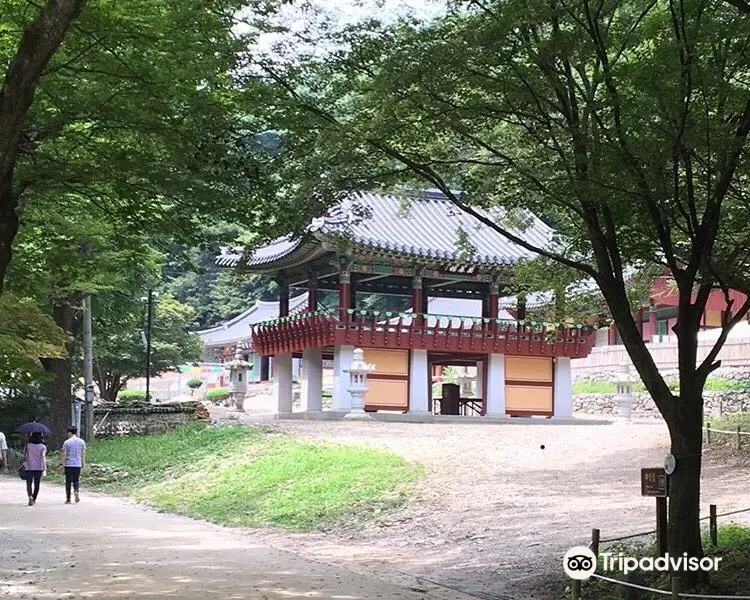 剛泉山郡立公園