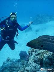 Diving Marina "Koparki"