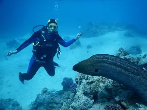Diving Marina "Koparki"