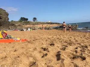 Plage Anse Du Sud