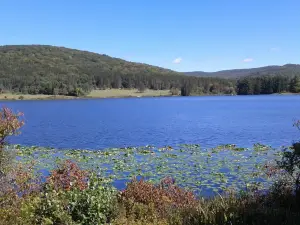 Allegany State Park