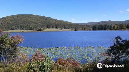 Allegany State Park