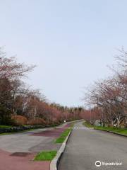 Toda Memorial Park Cemetery