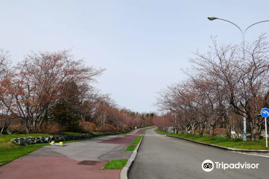 Toda Memorial Park Cemetery