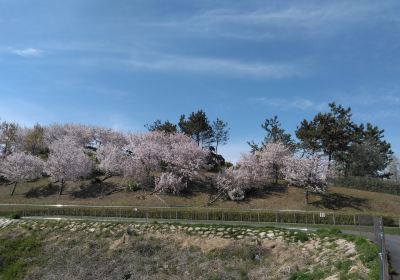 Nishikinohama Beach Park