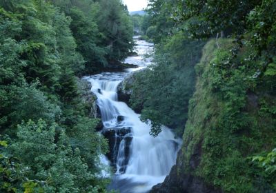 Reekie Linn