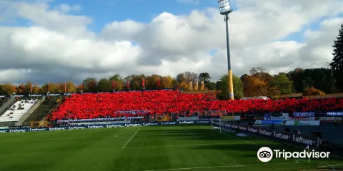 博倫法爾門畔默克體育場