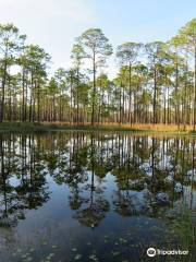 Ochlockonee River State Park