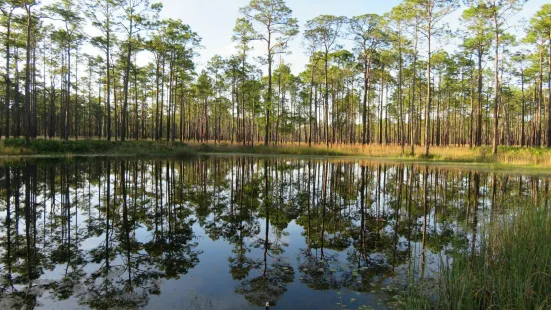 Ochlockonee River State Park