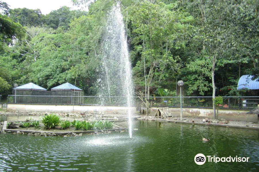 Labuan Bird Park