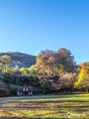 Craig-y-Nos Country Park