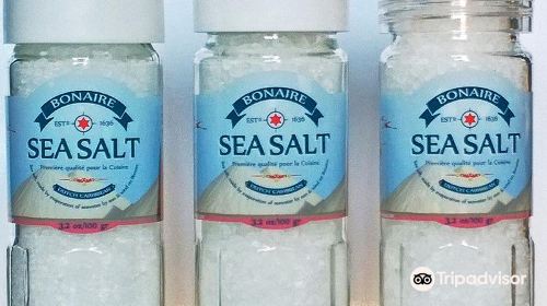 Salt Shop Bonaire