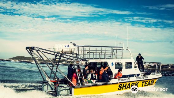 White Shark Projects