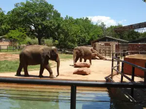 Oklahoma City Zoo und Botanischer Garten