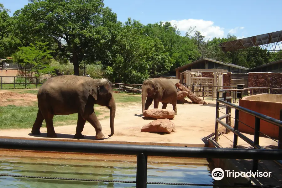 奧克拉荷馬城市動物園