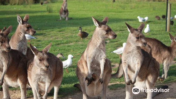 East Coast Natureworld