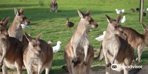 東海岸野生動物園