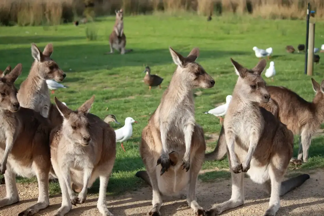 이스트 코스트 네이쳐월드 주변 호텔