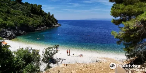 Vaja Bay