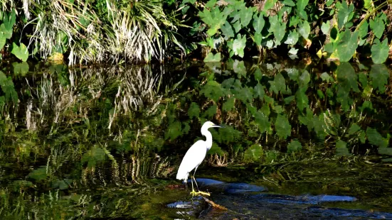 Paseo Rio la Silla - Parque Tolteca