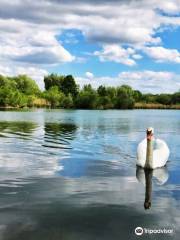 Friedberger Baggersee