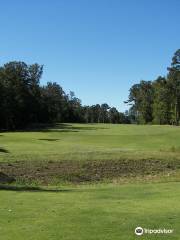 Bear Trace at Harrison Bay (TN Golf Trail)