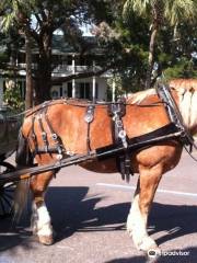 Old Towne Carriage Co