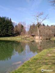 Lago Pontini