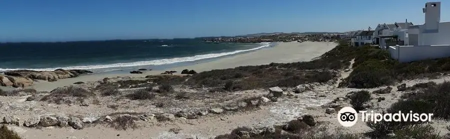 Shelley Bay Beach