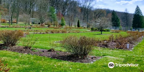 Renziehausen Park Rose Garden