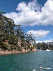 Kawau Cruises & Kawau Water Taxis