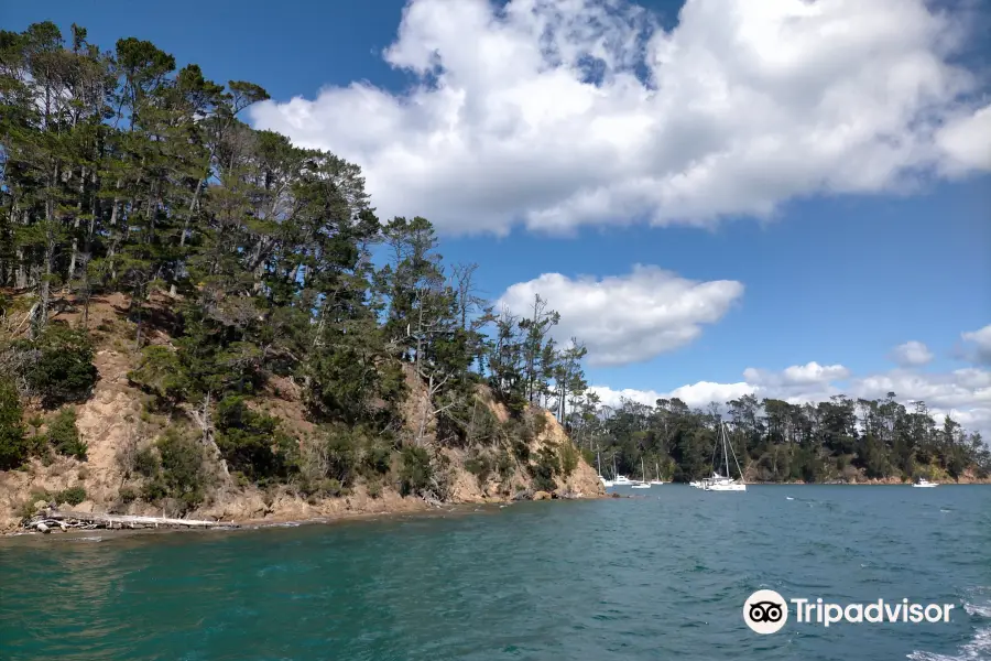 Kawau Cruises & Kawau Water Taxis