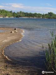 Wainfleet Wetlands Conservation Area