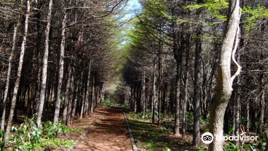 Teuri Island Footpath