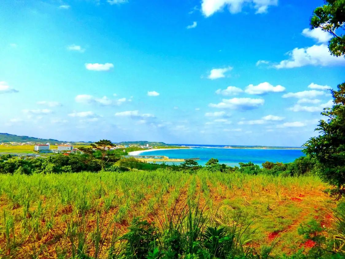Hotels near Zenda Forest Park