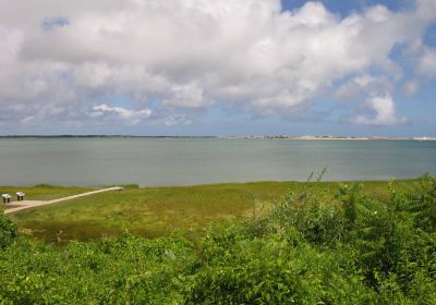 Long Pasture Wildlife Sanctuary