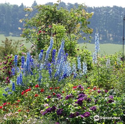 Botanical Garden of the University of Ulm