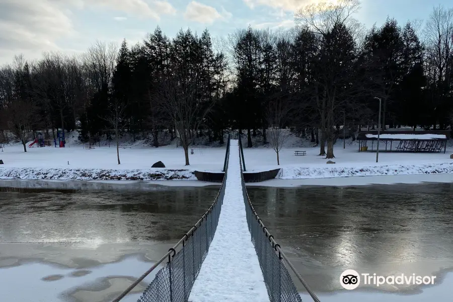 Croswell Swinging Bridge