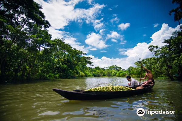 Istanbul to Barisal flight