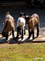 アイレンブルク動物園