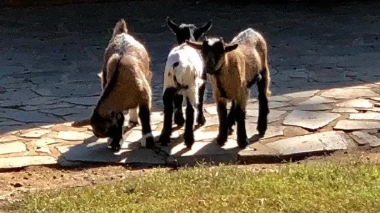 Tierpark Eilenburg