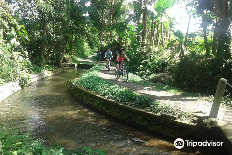 Sewa Sepeda Ubud