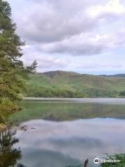 Loch Trool