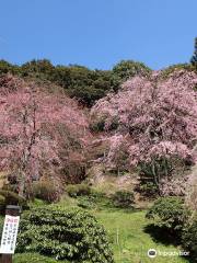 桜山南原寺