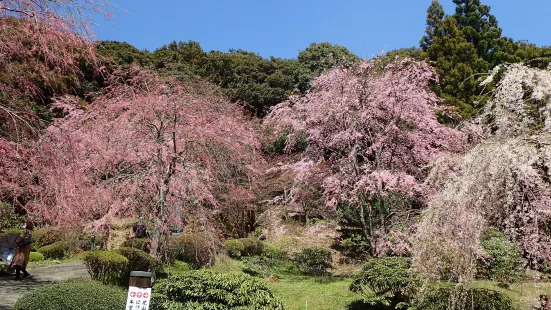 桜山南原寺