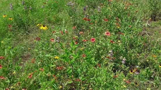 Villages of Bear Creek Park