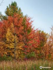 Otter Creek Preserve