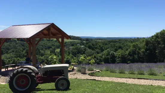 Hope Hill Lavender Farm LLC